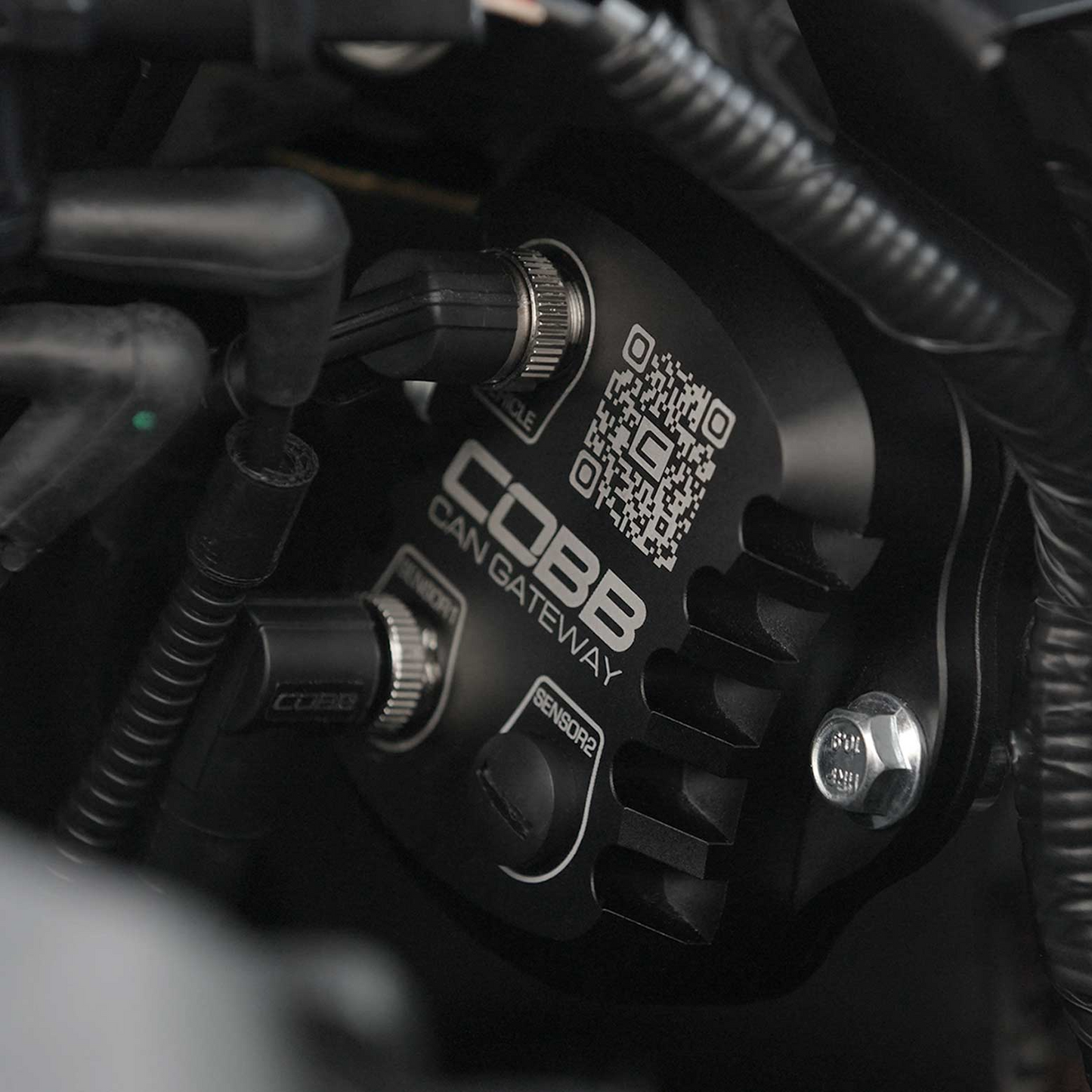 COBB Ford CAN Flex Fuel Upgrade for F-150 EcoBoost Raptor